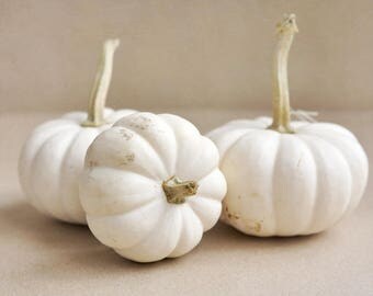 White pumpkins photo print, rustic kitchen wall art, neutral food art, farmhouse chic wall decor, country house decor, farm large wall art