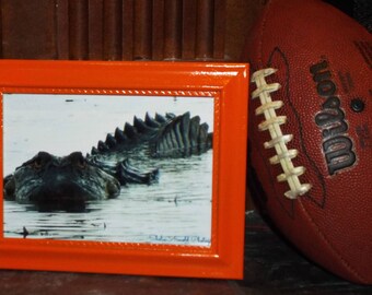Florida Gator Wall Art gator decor | etsy Florida Gator Wall Art gator decor | etsy