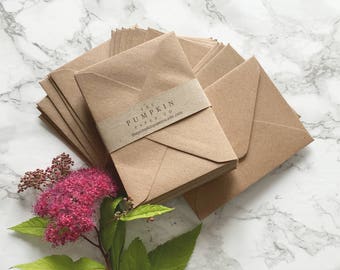 100 Mini Seed Envelopes Gift Card Envelopes Bulk Kraft recycled rustic for thank you cards mini notecards wedding favors 4.3/8x3.1/4 112x83
