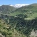 morane88