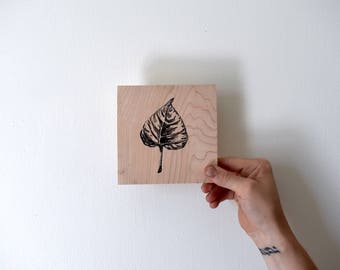 Cottonwood Leaf #1