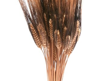 Black Beard Wheat Bunch/Grass Bundle/Dried Leaf/Dried floral arrangement/natural dried plant/grass bouquet