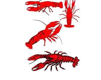 Crawfish svg | Etsy