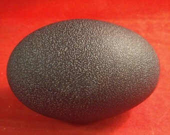 Egg #1 Taxidermy-Blown out Emu Egg-crafts-Ostrich-chicken-fowl