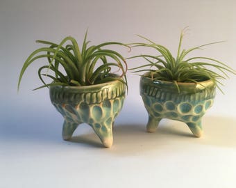 Mini Air Plant Pottery Planters; ceramic air plant vases, includes air plant