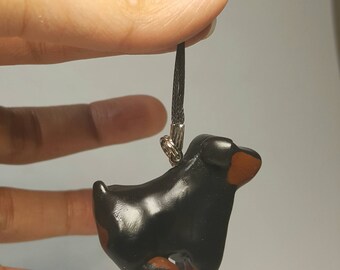 Sitting Rottweiler