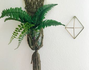 Boho Hoop and Macrame Plant Hanger