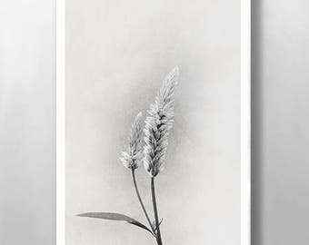 Floral Print, Wall Art, Wild Flower Print, Botanical Print, Vintage Wall Art, Black and White Print, Minimalist Print, Kitchen Wall Art