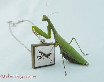 Jewelry Silver/wood "Mantis" pierced (sawed by hand) unique!