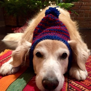 Dog Hat Dog Beanie Winter Hat for Dogs Large Breed Dog Hat