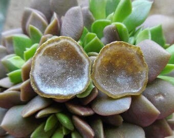 15% OFF July Tabasco Geode Pair | Cab Supply | Geode | Mexico Geode | Champaign Druzy Geode | Earring Supply | Natural | Baby Mini Micro Ge