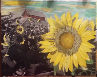 Sunflower and Old Barns