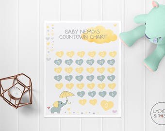 Personalised Pregnancy Countdown Chart, Pregnancy Countdown, Baby Countdown Chart, Pregnancy Chart, Baby Chart, Magnetic Pregnancy Chart