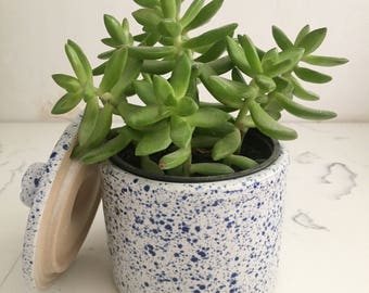 Vintage Speckled Ceramic Jar, Vintage Lidded Jar, Ceramic Lidded Jar, Ceramic Jar, Vintage Jar