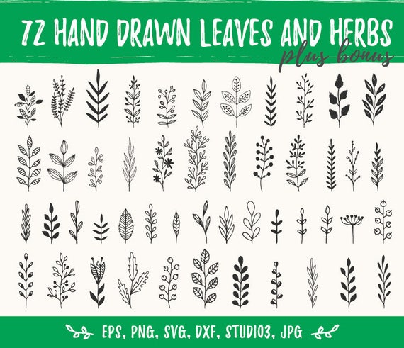 Hand drawn leaves and branches. Svg design elements. Vector