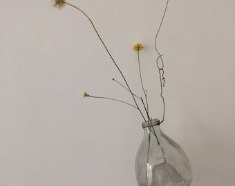 Trap wasps, glass vase