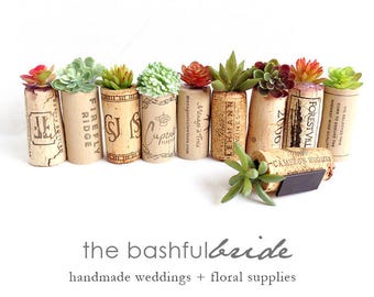 100 wedding favors, succulent favors, rustic wedding favor, plant favors, shower favor, cheap favor, farmhouse wedding, rustic wedding