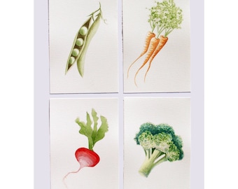 Watercolour Veggies - Carrots, Broccoli, Radish, Peas