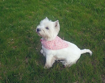 Orange/white-flowers red gingham dog bandana