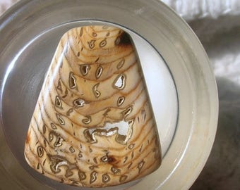 25% OFF Sale Hell's Canyon Petrified Wood Cabochon