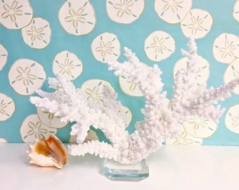 Beach Decor - Large Natural Branch Coral - Coastal Decor 35th Anniversary Gift Sea Shells Seashells