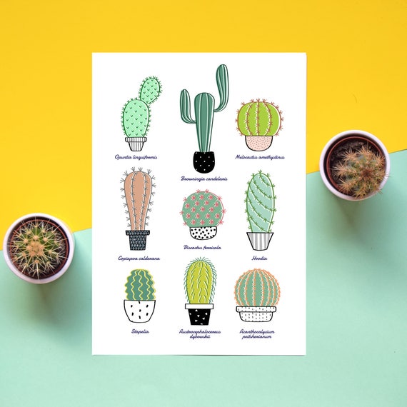 Cactus Print Succulent Print Cacti Poster Cactus