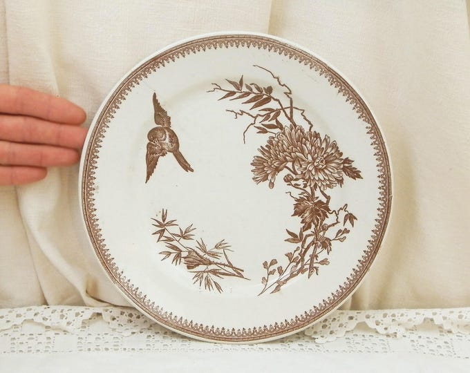 Antique French Plate Bird and Flower Pattern in Chocolate Brown on White Glaze by FF Pexonne Badionviller, Victorian Plate from France, 1880 Antique French Plate Bird and Flower Pattern in Chocolate Brown on White Glaze by FF Pexonne Badionviller, Victorian Plate from France, 1880