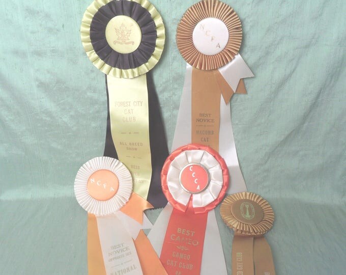 Five cat prize ribbons / vintage rosette National Cat Club NCFA  as is