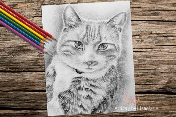 Kitten Cat coloring book page adult coloring book coloring