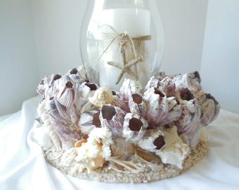 SeaShell Barnacle Candle Holder-Hurricane Candle Holder-Shell Candle Holder-Glass Candle Holder-Beach Candle-Seashells