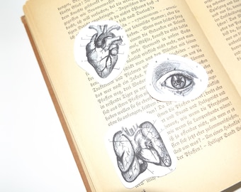Vintage Anatomy stickers black/white