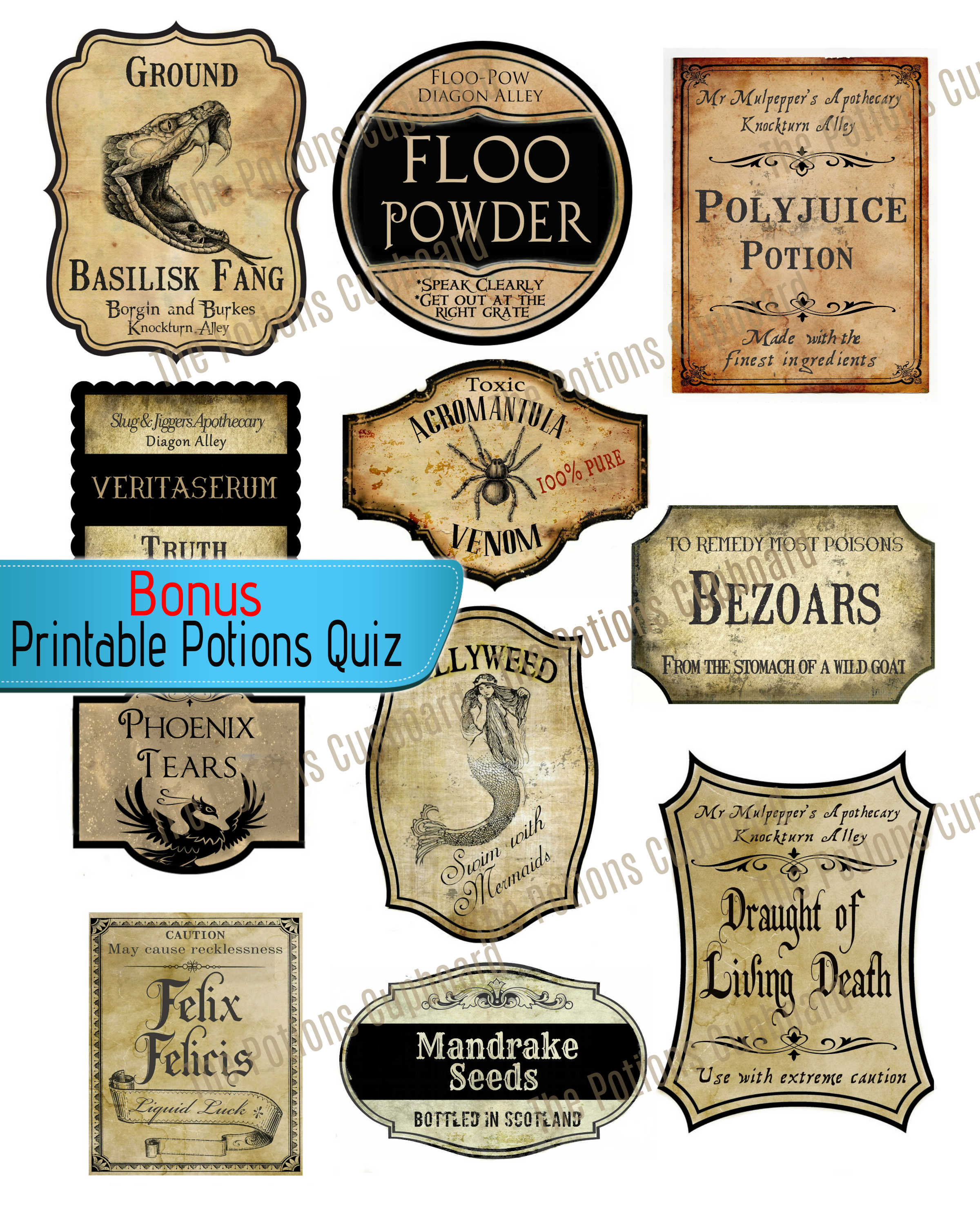Realistic Harry Potter Potion Labels Wizard jars Party