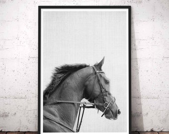 Horse Print, Horse Photo, Horse Photography, Horse Art, Black Horse, Instant Download, Horse Printable Art, Black And White Prints