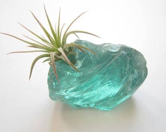 Air Plant Emerald Green Glass Rock Terrarium-Housewarming Gift-Air Plant Decor-Beach Wedding Decor-Cute Gifts-Birthday Gift-Air Plant Holder