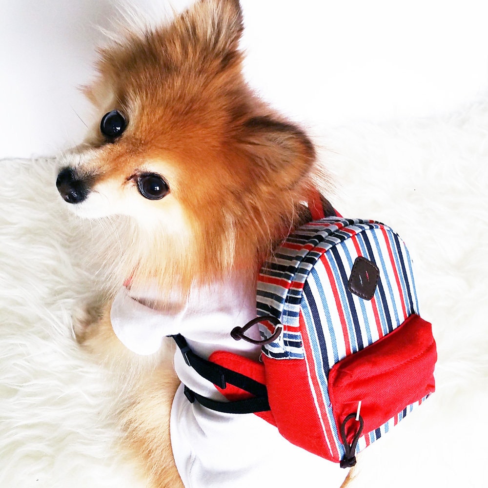 backpack for a dog to wear