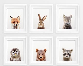 Woodland Nursery Decor, Baby Animals Set 6, Bunny Fox Bear Owl Wolf, Nursery Prints Modern Animal Art, Woodland Animals, Kids Room Printable
