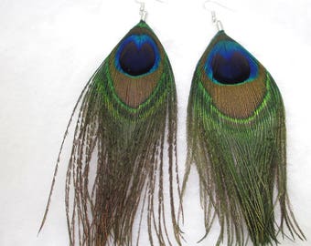 dangle earrings peacock feathers