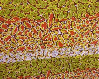Stunning african print 1 yard