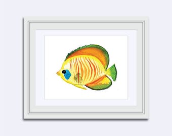 Striped Fish print - rainbow fish print - Printable kids gift - fish wall art - watercolor fish - kids wall art - Nursery Decor - girls art