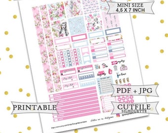50% OFF SALE Hello Captain Planner Stickers/Mini Happy Planner Stickers/Printable Planner Stickers/Printable Mini Happy Planner Weekly kit/N