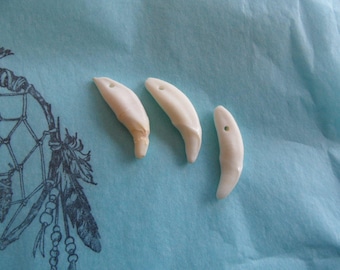 North American natural Wolf tooth pendant