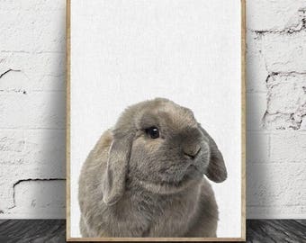 Imprimé lapin, bébé Animal imprime, décor de chambre d’enfant bois, lapin murale impression d’Art, numérique en téléchargement,