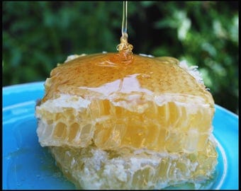 All natural and raw honeycomb, 1 lb. container