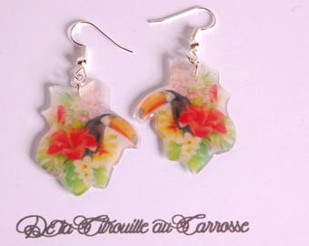 Toucan exotic flowers earrings