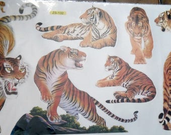 WALL DECALS * TIGER *.