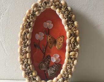 Cadre Papillons Vintage