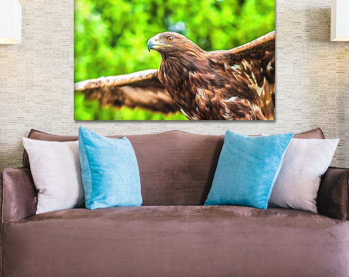 Flying Hawk, bird, canvas, Interior decor, bird canvas, room design, flying bird, print poster, art picture, gift