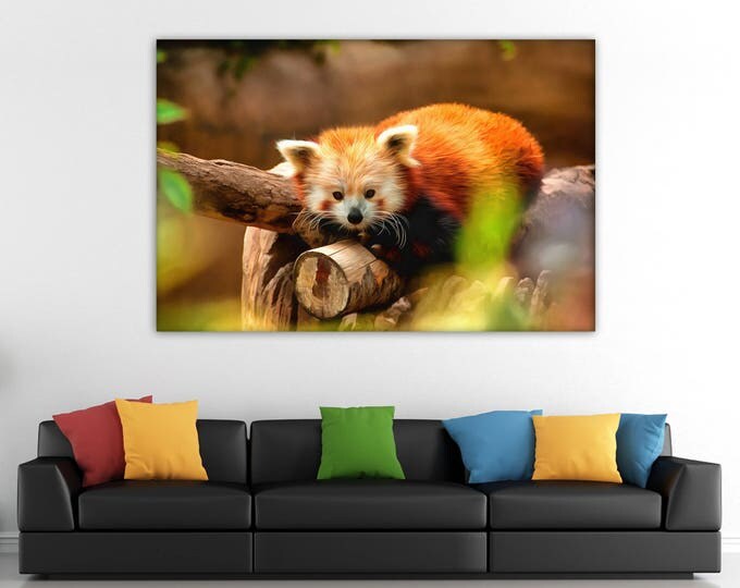 Red panda canvas, Сute canvas, Art panda, canvas, Interior decor, room design, print poster, art picture, gift