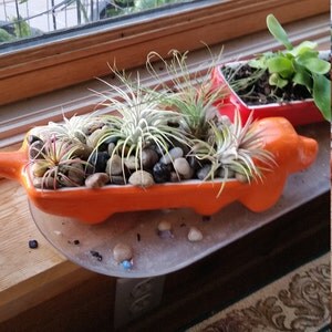 Buyer photo Lucy Novak, who reviewed this item with the Etsy app for Android.