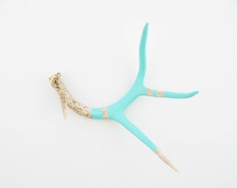 Painted Antler - MEDIUM - Aqua Monochromatic - Taxidermy and Curiosities
